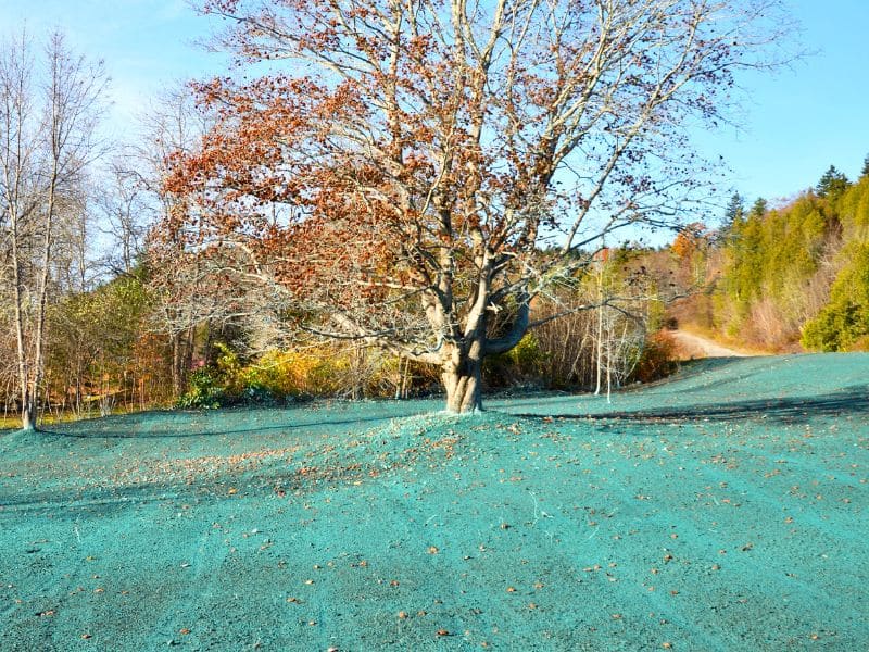 Hydroseeding Lawns - Westwood MA